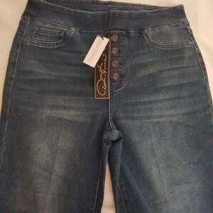 DG2 by Diane Gilman Dark Blue Jeggings